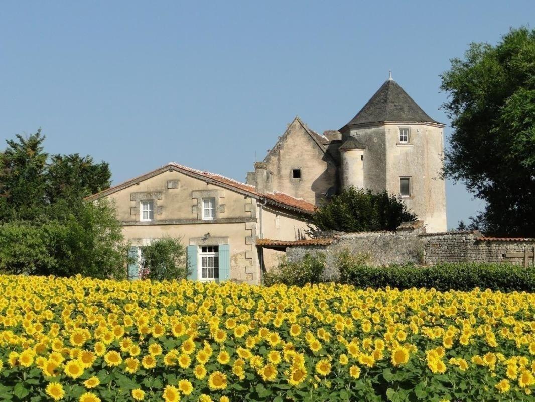 Gite Du Chateau De Pernan Avy Dış mekan fotoğraf