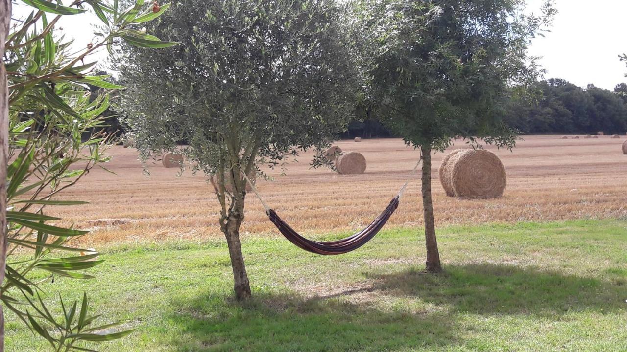 Gite Du Chateau De Pernan Avy Dış mekan fotoğraf